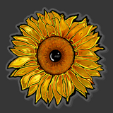 Eye of Protection Sunflower Acrylic Pin Inspired by Evil Eye Protection Amulets
