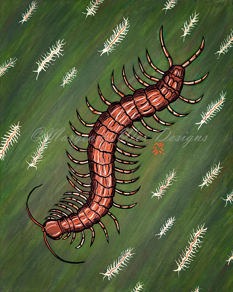 Centipede Plot R Centipede Art