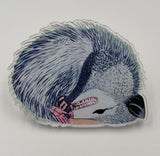 Opossum ( Possum ) Acrylic Pin