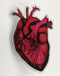 Anatomical Heart Acrylic Pin