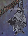 Bat Art Print From The Critters Series